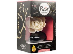 Brait 75ml VB Hypnotic Rose