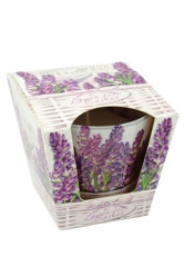 Bartek svíčka sklo 115g Lavender Basket (12)