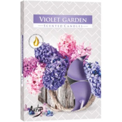 Bispol čajové svíčky 6ks Violet Garden