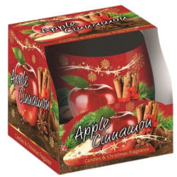 Santo svíčka 100g (12) Christmas Apple a Cinnamon