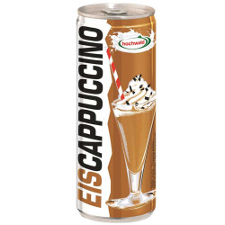 Hochwald Eiskaffee ledová káva 0,25l plech Cappuccino (24)